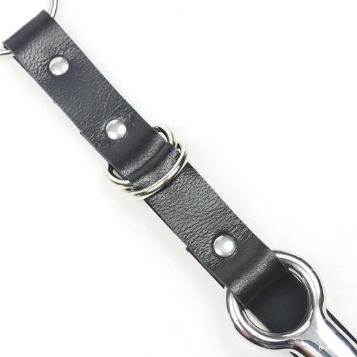 and Leash 5853 with Hook Anal Kinky Collar EverydayUse 1228